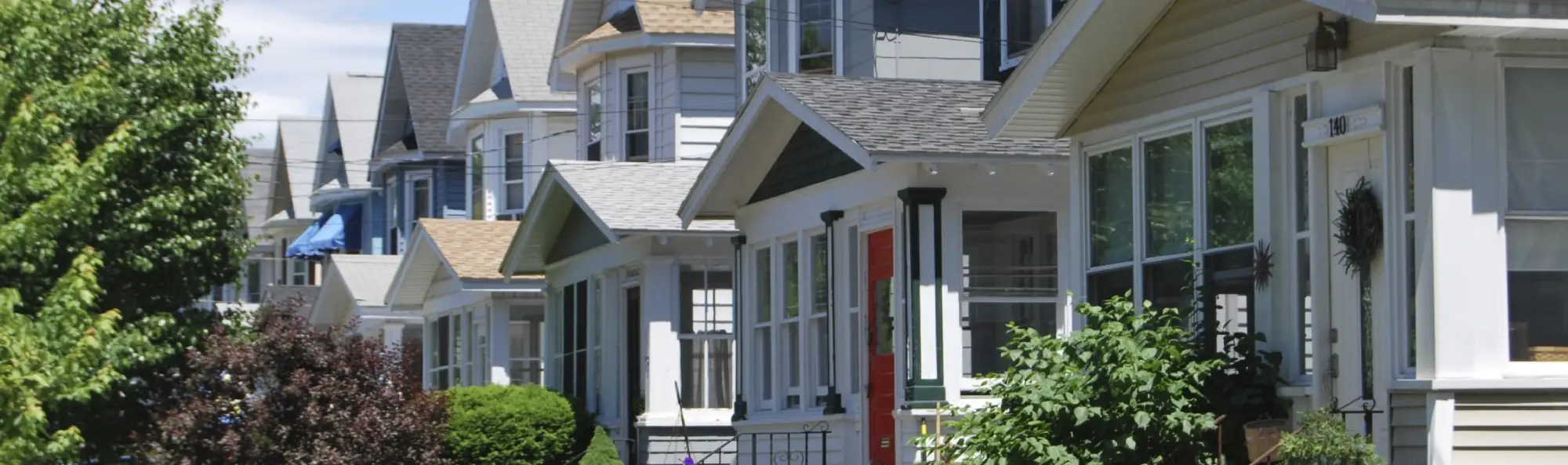 albany county header image